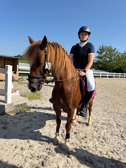 Pony kategorie B - 6