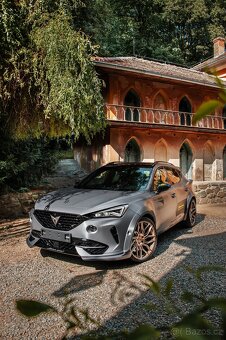 Cupra Formentor Widebody 2.0TSI - 6