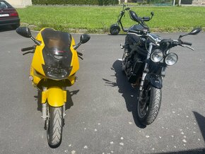 Triumph 955i ,vtr 1000 - 6
