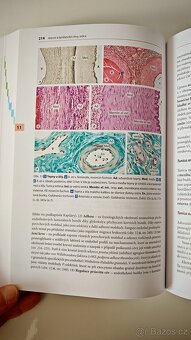 Učebnice HISTOLOGIE - Renate Lüllmann-Rauch - 6