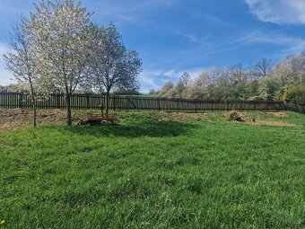 Pronajem zahrady - 6
