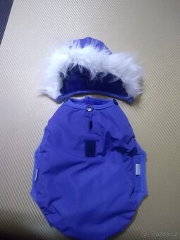 Oblečky pro malé psy - 6