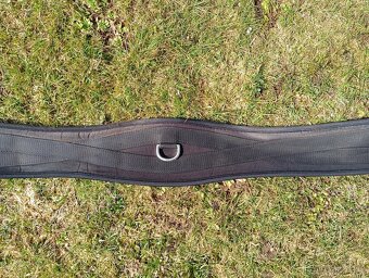 Podbřišník Kentaur - 6