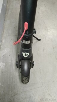 BOHMAN model:  go plus red - 6