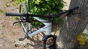Focus Whistler 3.8 ,29" - 6