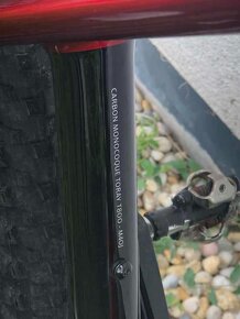 Olympia Iron PRO size M - 6