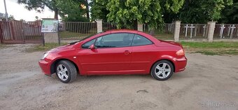 Peugeot 307 (cc) 1.6 LPG 2005 - 6