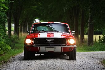 1967 Ford Mustang Fastback - 6