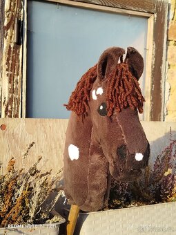 Hobby horse - 6