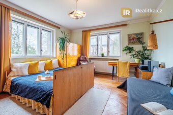 Prodej velkého domu s garáží a zahradou, 850 m2 - Tábor - 6