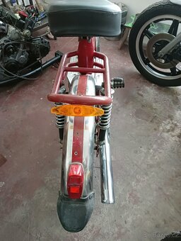 Moped cimatti Piper minarelli - 6