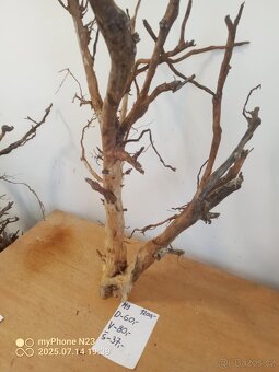 Bonsai kořeny do aquaria / Terraria - 6