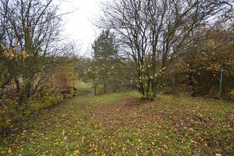 Prodej zahrady, CP 705m2, Hostěrádky-Rešov, okres Vyškov - 6