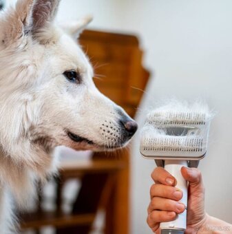 Sada pro péči o srst domácích mazlíčků - 6
