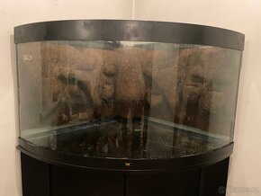 Terárium se skříňkou 350l - 6