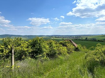 Prodej vinice Archlebov, okres Hodonín - 6