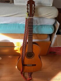 Kytary a mandolina - 6