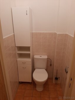 Pronájem bytu 2+1 Písek - 6