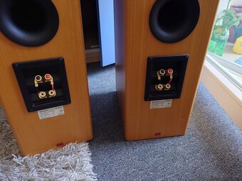 Sony SS B4ED - 6