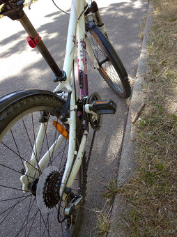 Scott Contessa 24'' - 6