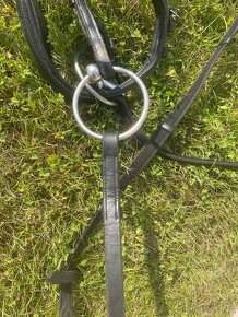 Drezurní uzdečka - 6