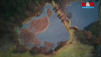 Prodej pozemků s rybníkem ve Velké Losenici - 6