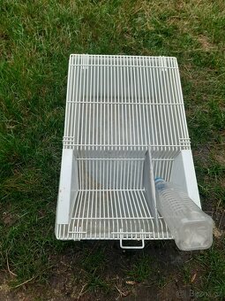 Boxi na myši - 6