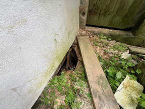 Prodej chalupy -  Podhora u Pěnčína - 6