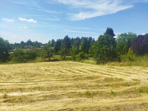 Prodám stavební pozemek 1500m2 pro stavbu RD Horní Bludovice - 6