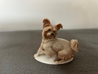 Porcelánová soška psa ROSENTHAL. - 6