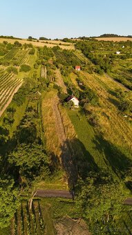 Strážnice - Pozemek s chatou a vinicí, krásné výhledy - 6
