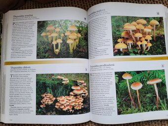 Houby - sběratelská encyklopedie a další od Reader Digest - 6