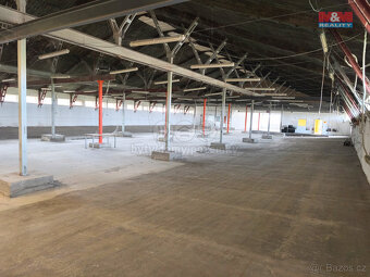 Pronájem skladu, 2191 m², Štěpánkovice, ul. Svobody - 6