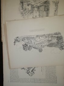 český kreslíř 1884 - 6