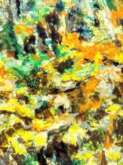 DIMITRI POLAK - sieťotlač /farebná impresionistická krajina/ - 6