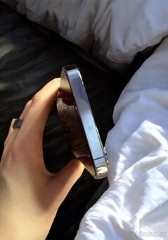 Iphone pro max 13 256GB - 6