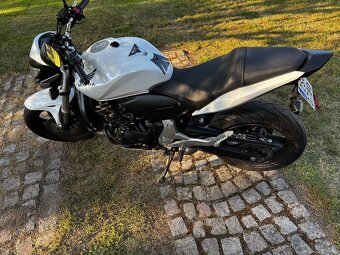 Honda Hornet CB 600F - 6