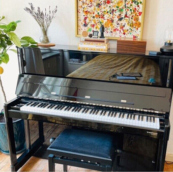 W.Hoffmann Model P126 Piano Mint (2019) Černá, Stříbrné apli - 6