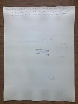 Fotografie Irena Bluhová (1904-1991) - 6