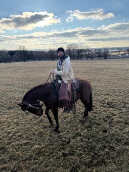 Kobylka AQH na prodej - 6