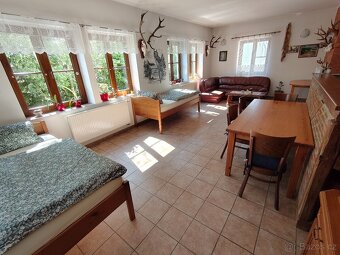 Apartmány s bazénem Jižní Čechy, klidná poloha u lesa. - 6