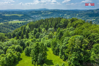 Prodej lesa, 6085 m², Tanvald - 6