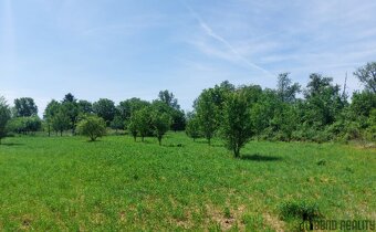 Prodej zahradních pozemků, celkem 5 961 m² , Rajhrad - 6