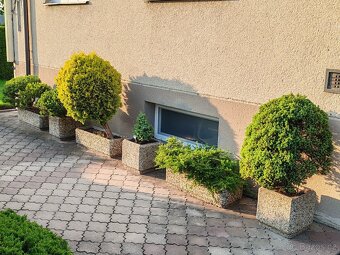 Betonový květináč - 6