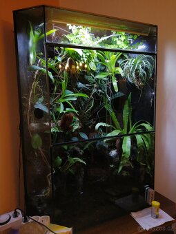 Terarium/paludarium - 6