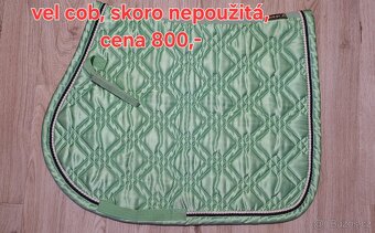 Podsedlovky Lemieux, Eskadron - 6