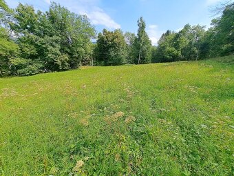 Prodej ATRAKTIVNÍCH stavebních pozemeků na Šumavě se 3 stave - 6