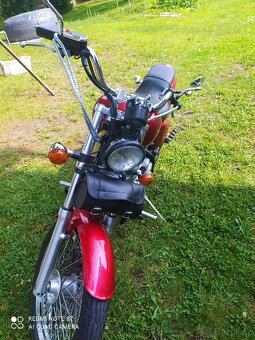 Honda Schadou VT 600 - 6