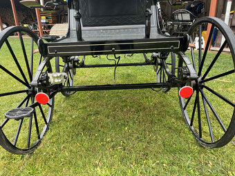 Prodám drezurní kočár Aron - 6