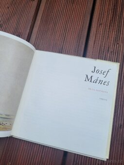 Josef Mánes - 6